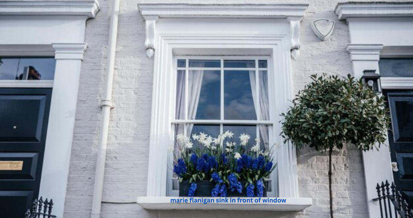 marie flanigan sink in front of window
