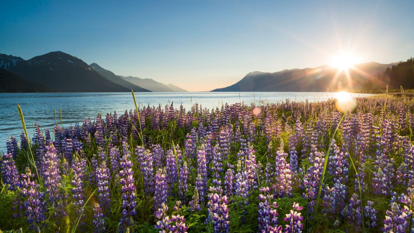 alaska night in summer