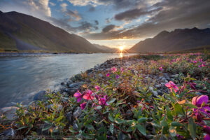 alaska night in summer