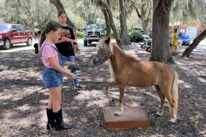 so cal horse