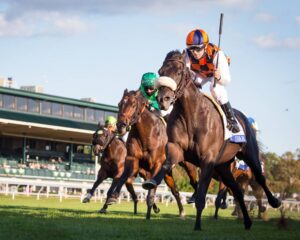 free picks for mountaineer horse racing
