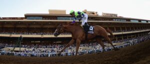 free picks for mountaineer horse racing
